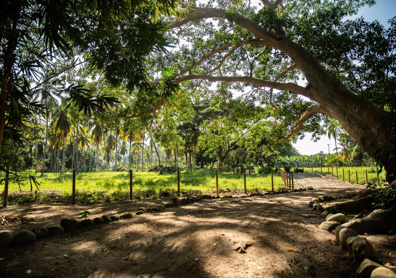 Gardenia Springs Buritaca Exterior foto